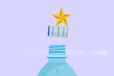 Bottle Cap Challenge