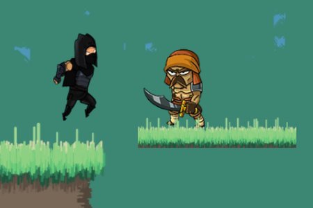 Combat Ninja