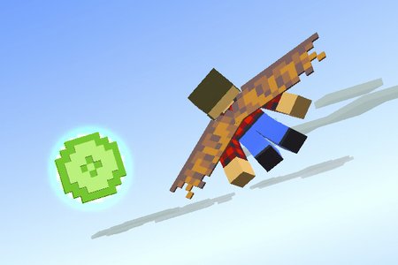 Elytra Flight
