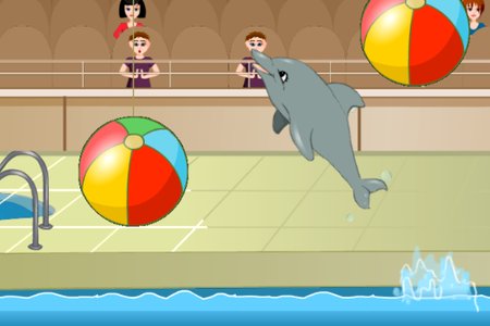My Dolphin Show 1