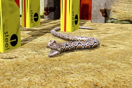 Python Snake Simulator