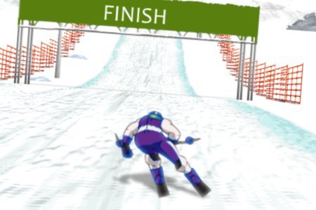 Ski Slalom 3D