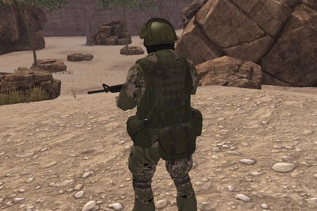 Soldier of the Homeland: Sahara