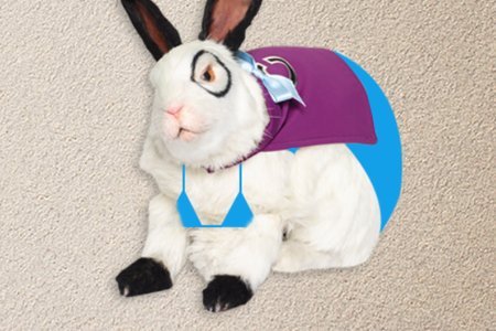 The Thundermans: Pick Your Thunder-cation