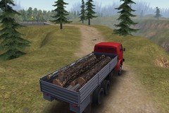 Truck Driver: Crazy Road