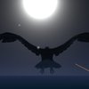 Bird of Prey Game